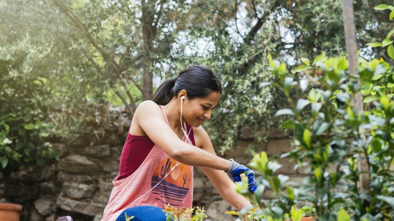 A woman gardening while wearing headphones