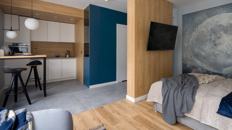 room divider studio apartment