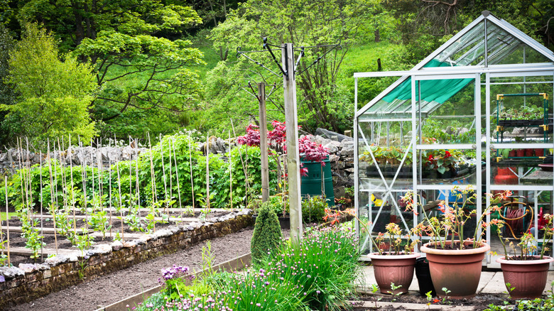 classic greenhouse