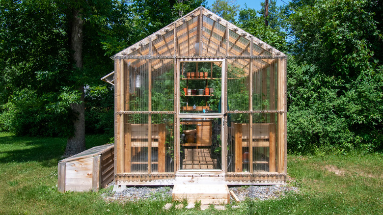 wooden greenhouse backyard