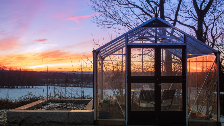 greenhouse with sunset
