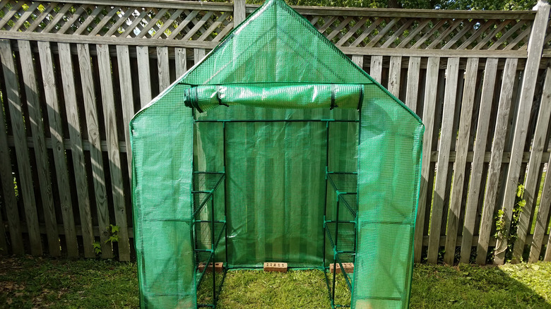 small greenhouse