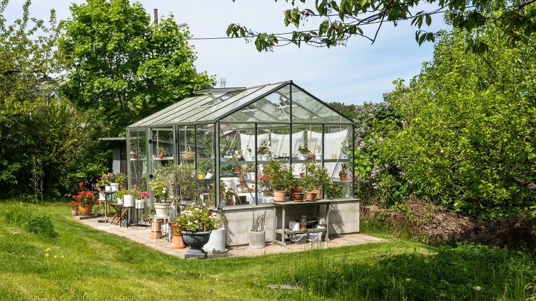 a traditional greenhouse