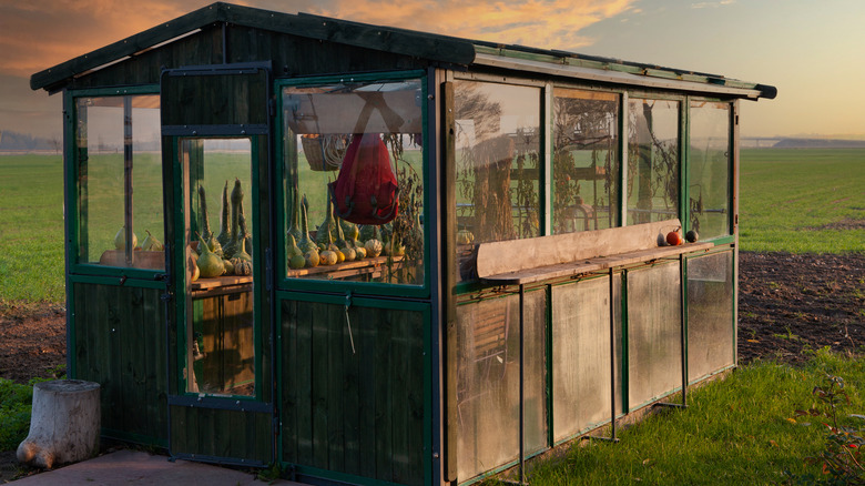 wood and glass greenhouse