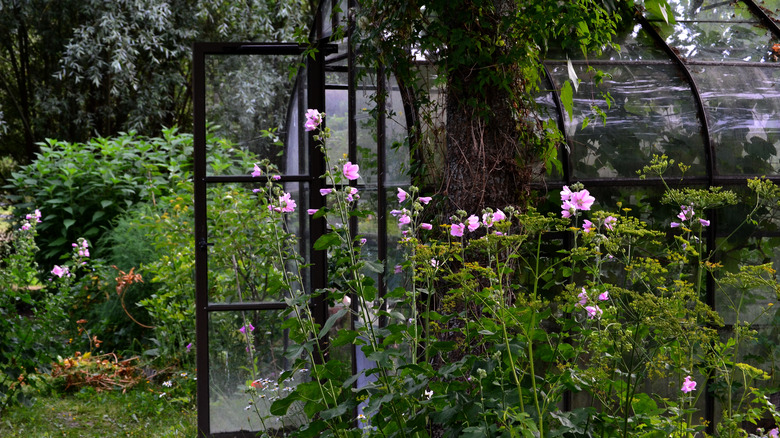 english garden