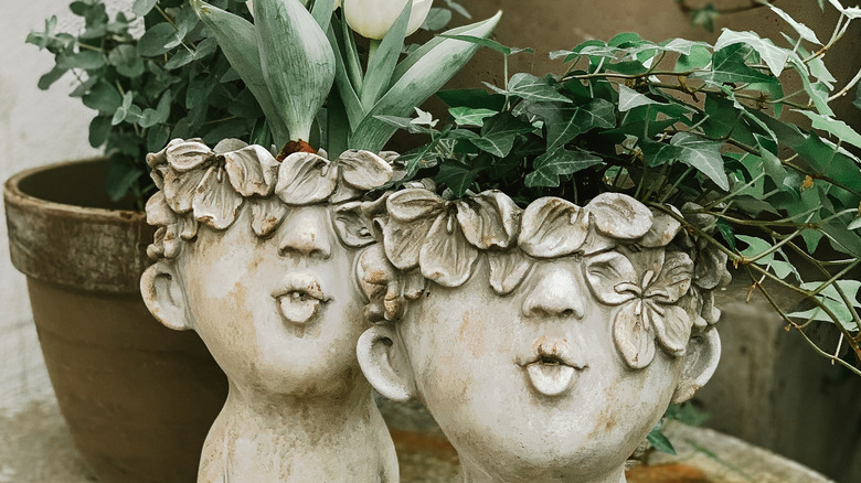 unique potted plants