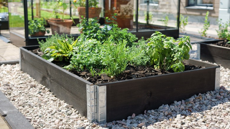 wooden planter boxes