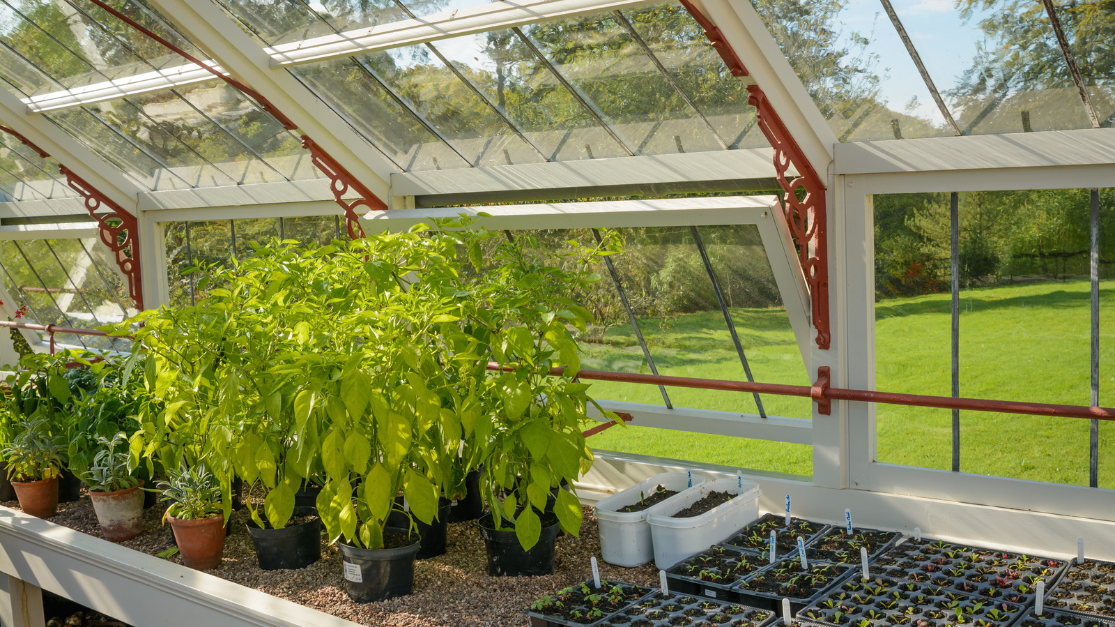 35 DIY Greenhouse Ideas That Will Transform Your Backyard