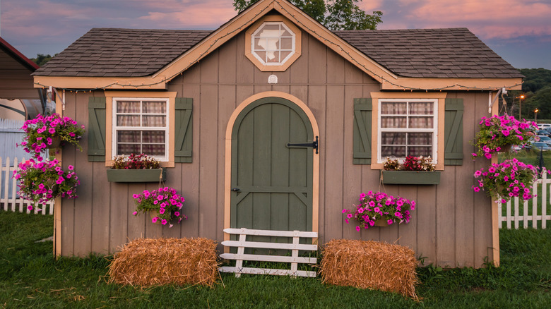 a beautiful shed
