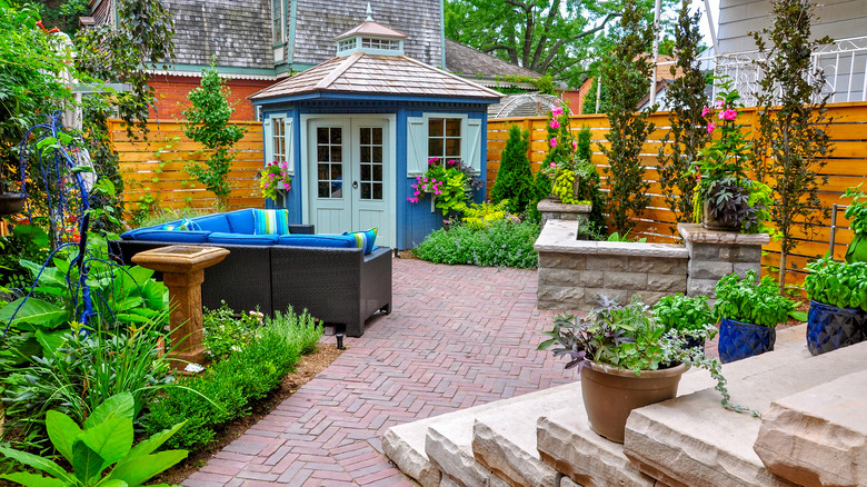 beautiful backyard