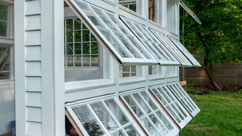 greenhouse shed