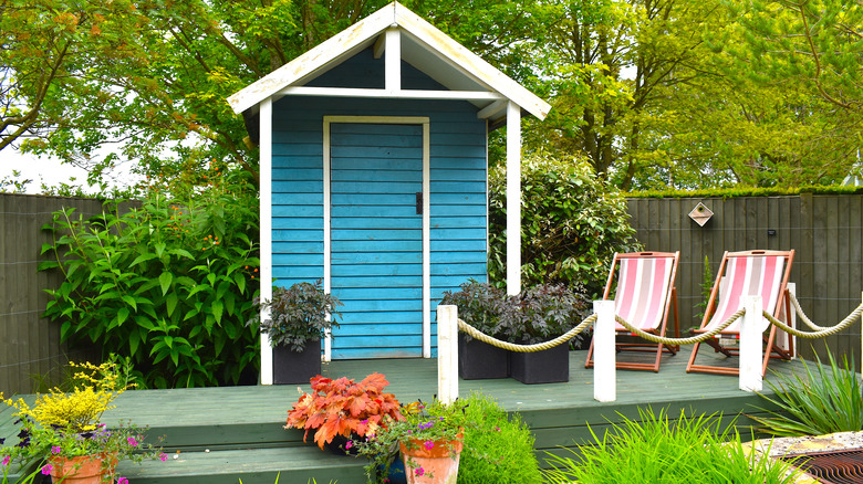 backyard blue shed 