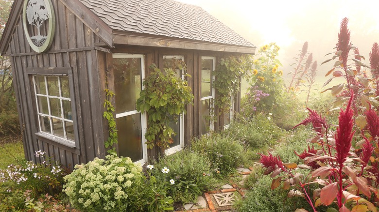 shed with landscaping