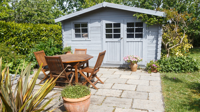 she shed backyard