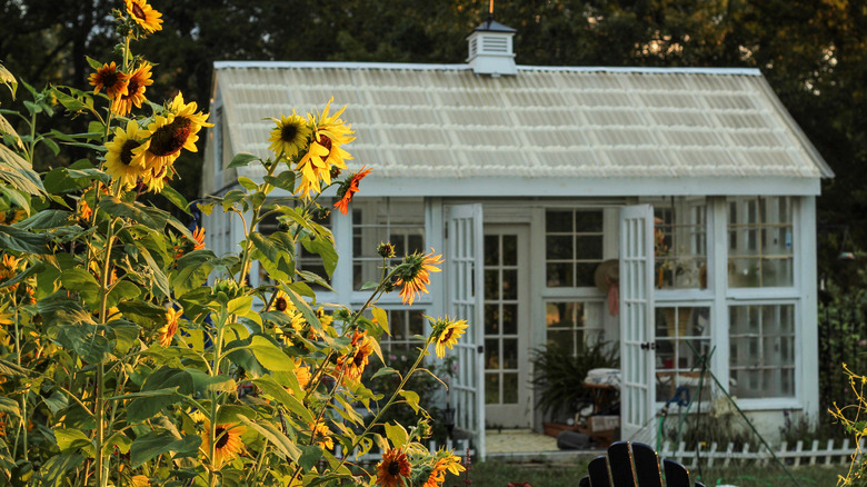 schoolhouse-like shed