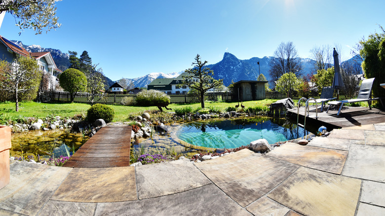 small pool in a yard