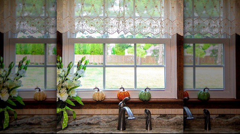 window overlooking a garden