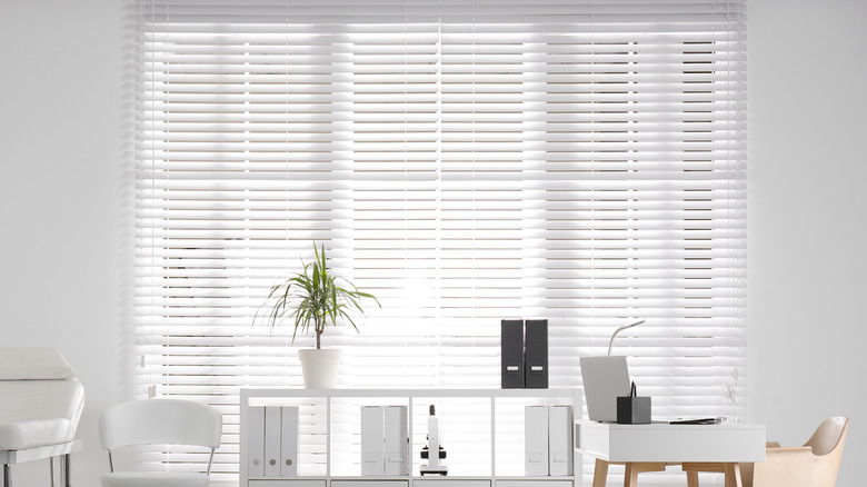 white blinds