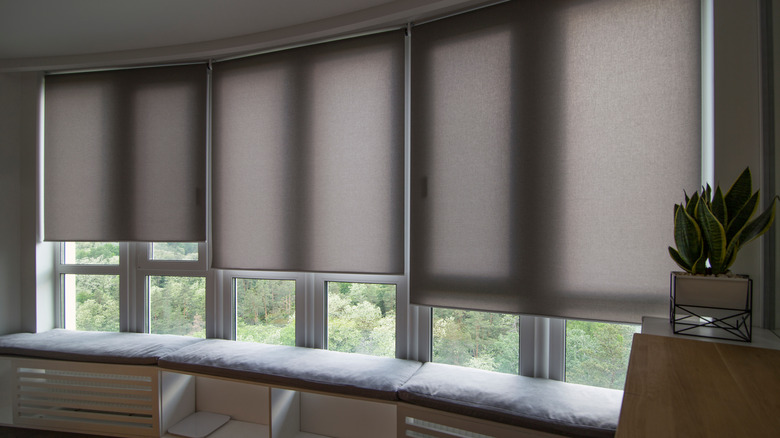 roller blinds