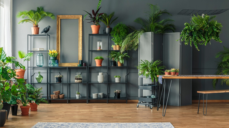 gray room with table