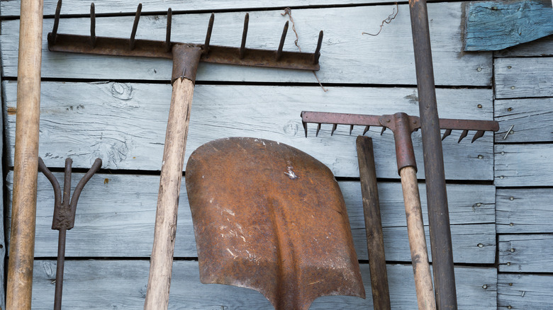 rusty garden tools