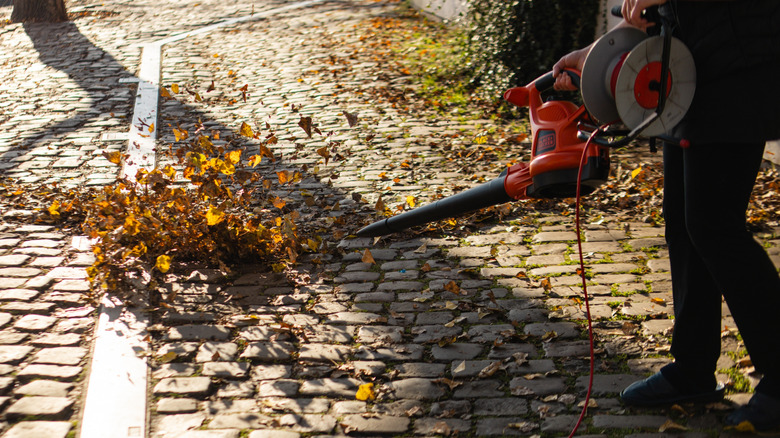 Person using corded leaf blower stone road