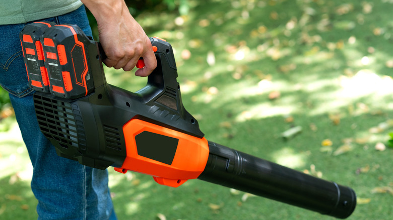 Battery-powered leaf blower