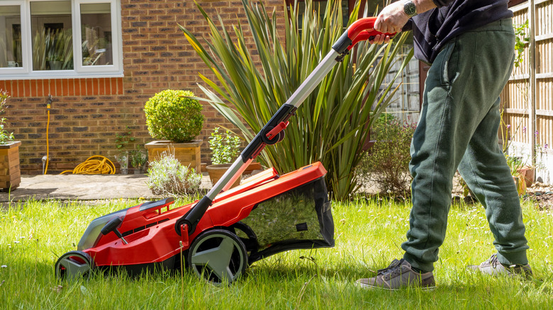 Man mowing a lawn with a red and black mower