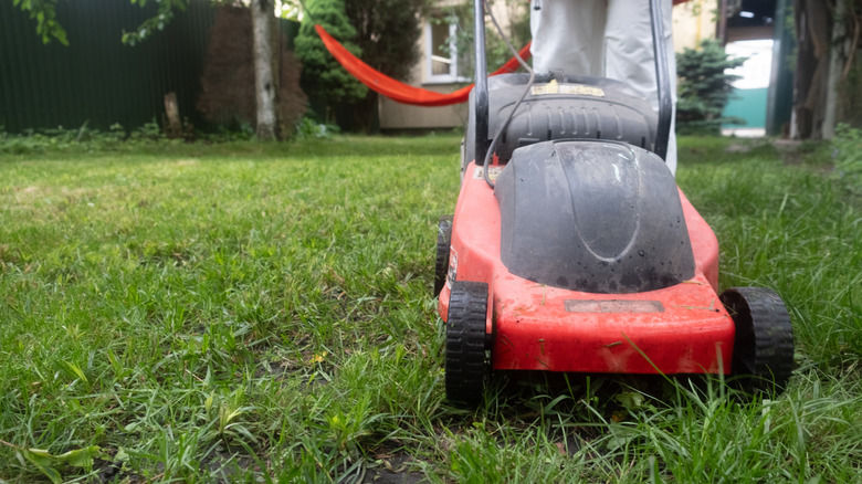 Mower on a lawn with uneven cuts