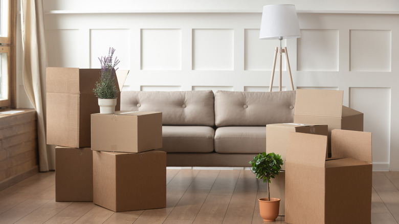 cardboard boxes in living room