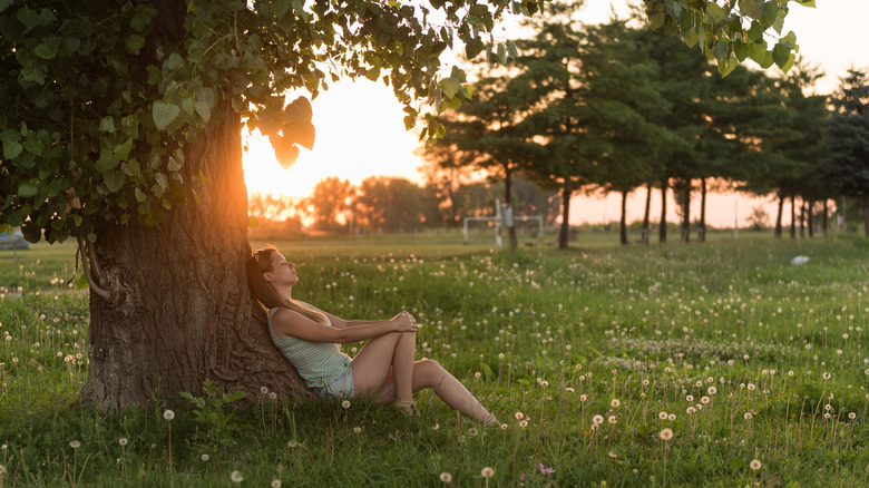 Person relaxing under tree