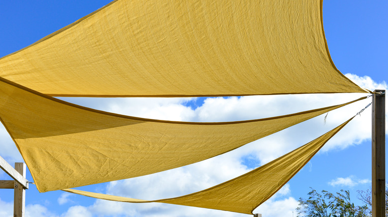 Shade sails over lawn