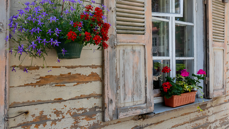 paint peeling off wooden house