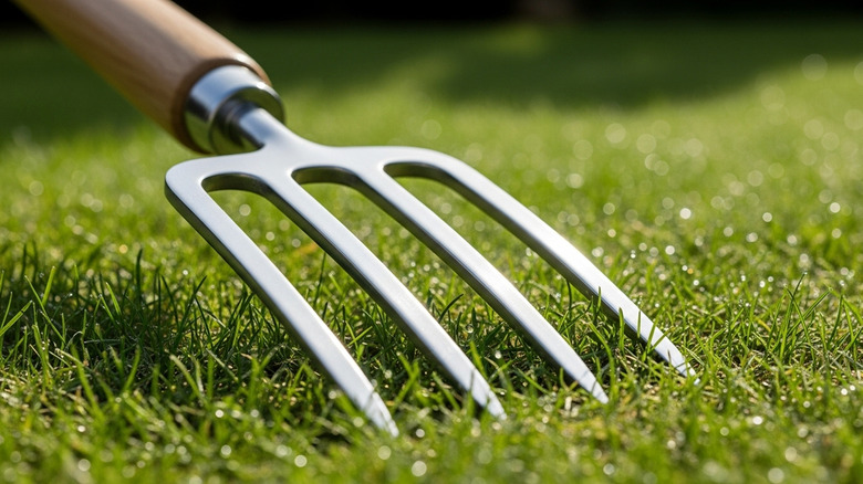 Close up of garden fork on grass