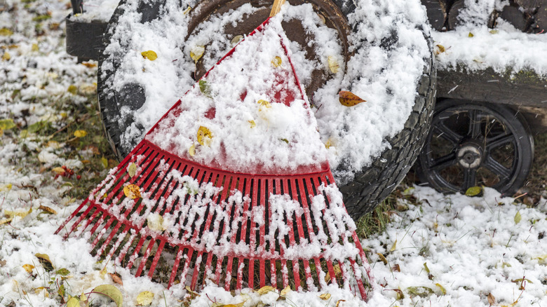 Close up of red plastic rake in the snow