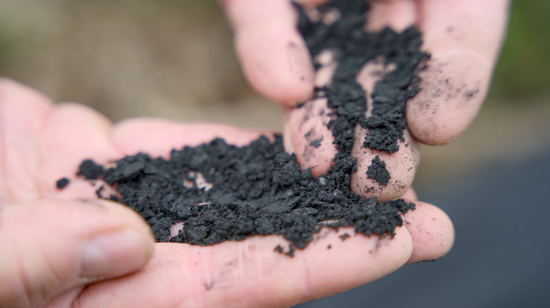A person holding biochar in his hands
