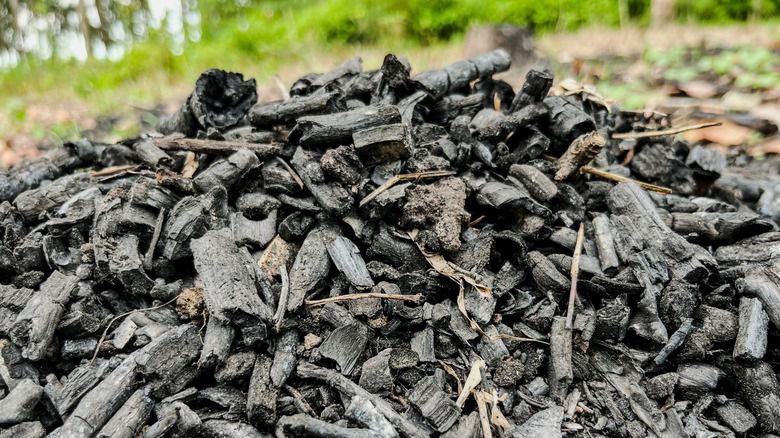 A pile of charcoal on the ground