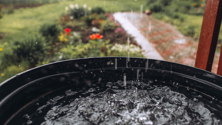 rain splashing into barrel