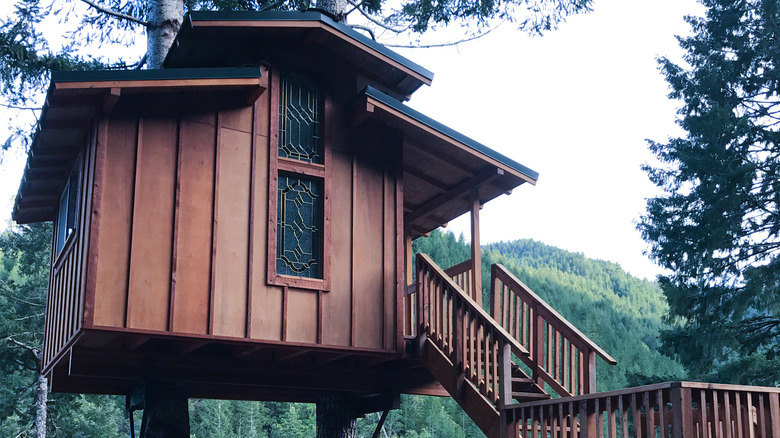 treehouse in California 