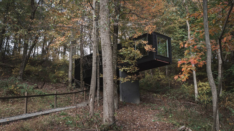 40 Amazing Treehouses That Will Blow You Away