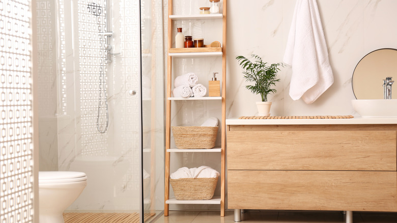 ladder in bathroom