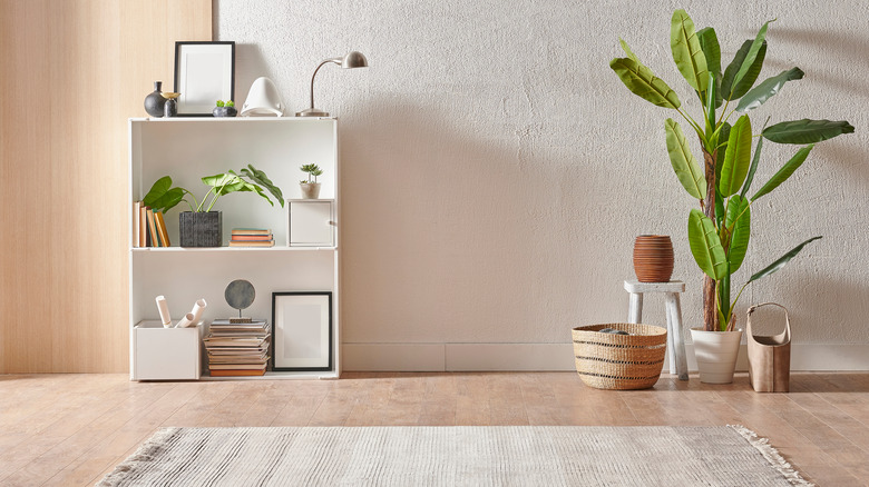 medium-sized bookshelf