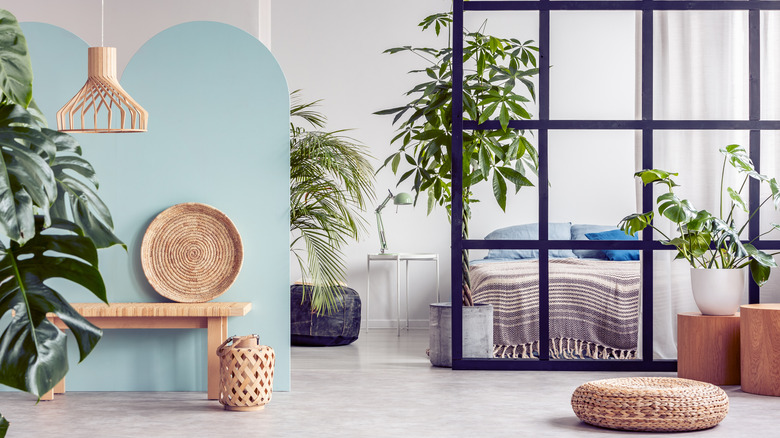 light blue accent wall