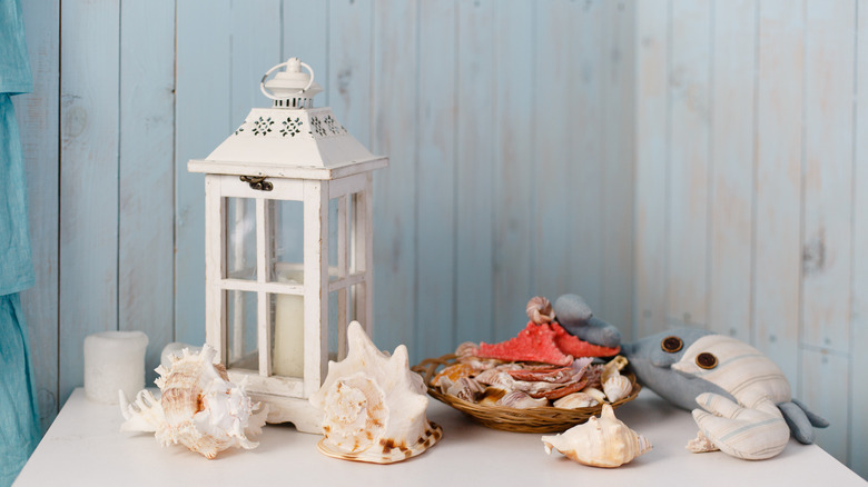 shells on dresser
