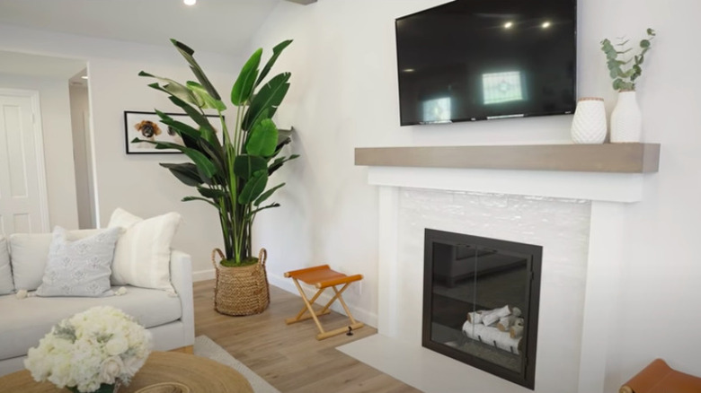 Neutral living room with plant