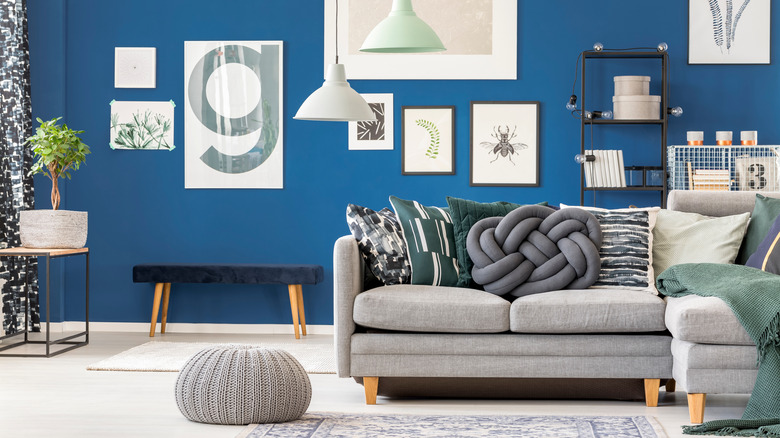 royal blue living room