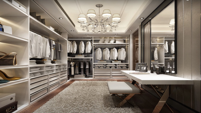 40 Joyfully Organized Walk In Closets