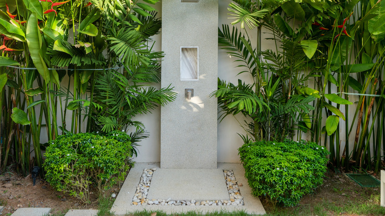 outdoor shower with plants