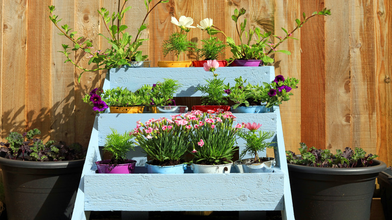 plants in wooden garden planter