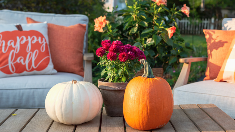 pumpkins and fall pillows